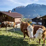 Haus Geiersbichl 아파트 *