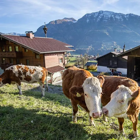 Haus Geiersbichl Lejlighed *