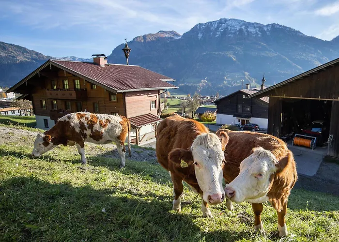 Haus Geiersbichl شقة *